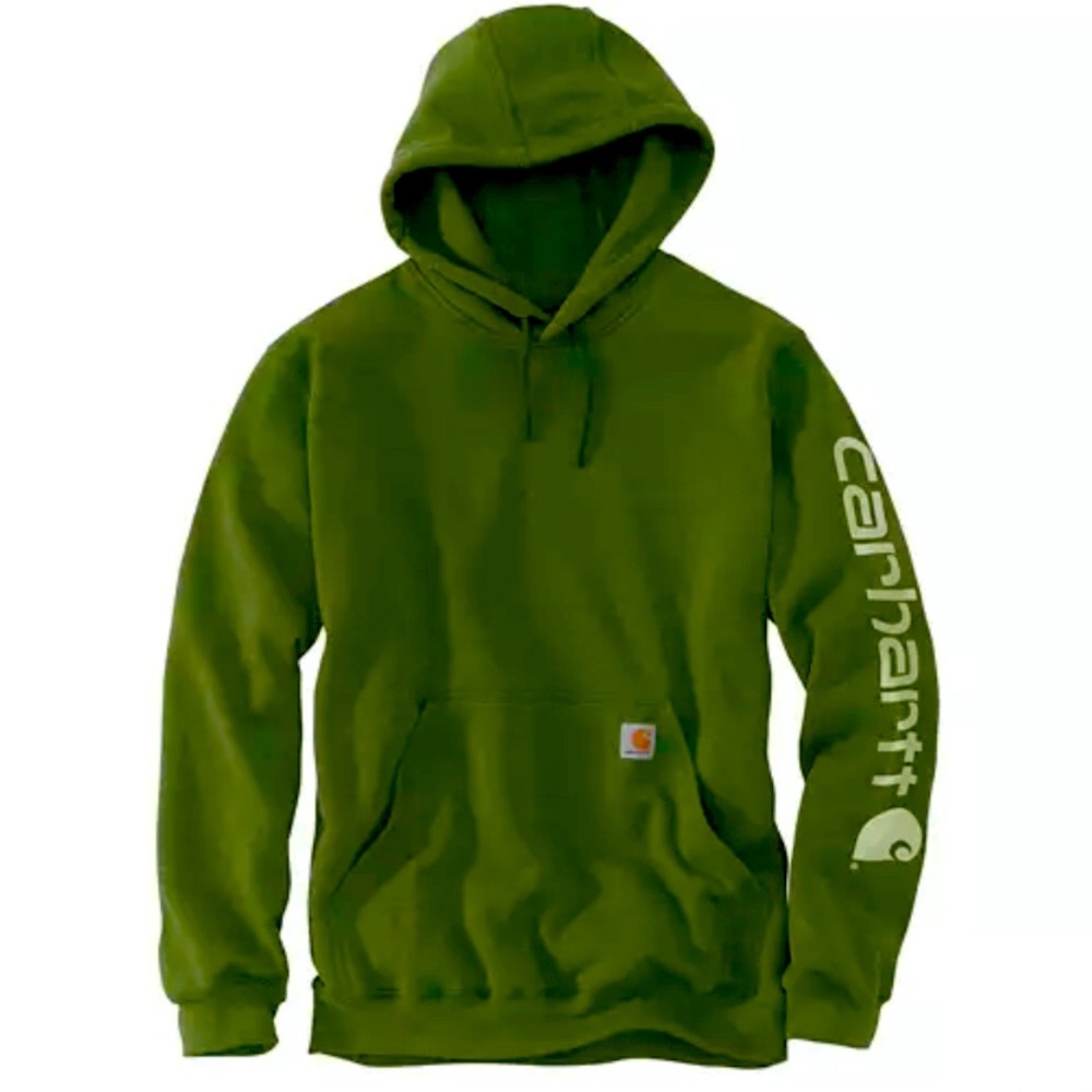 COPY - Brand new in the package with tags Mens carhartt hoodie
